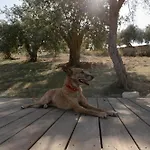 Iuta Farm Фермерский дом *