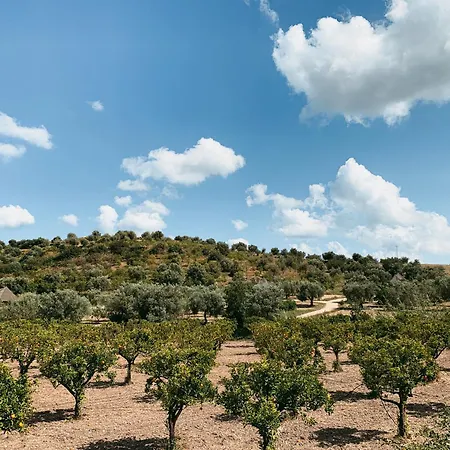 Iuta Farm * Noto