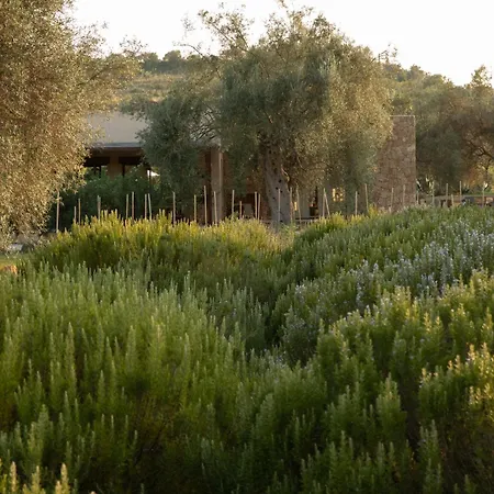Iuta Farm Vakantieboerderij