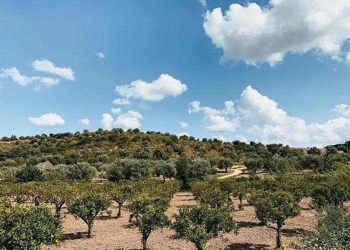 Iuta Farm * Noto
